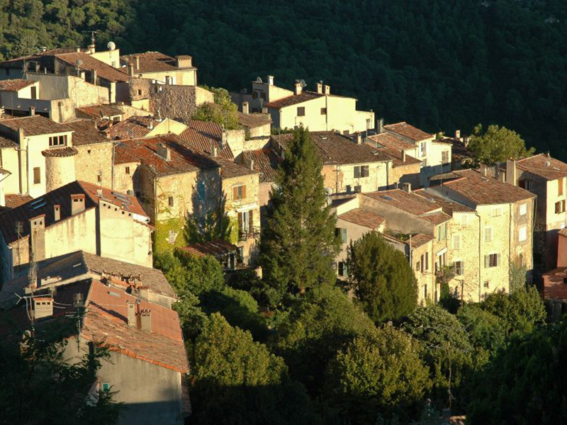 ARCHI IMMO